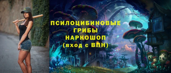 мдпв Богданович