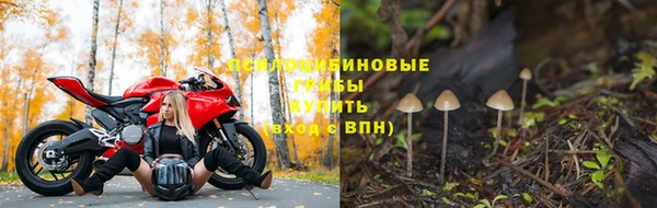 скорость Богородицк