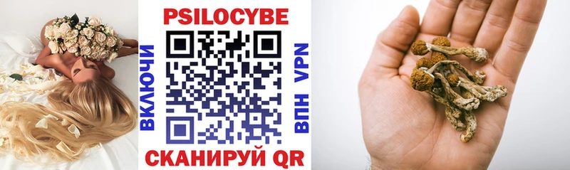 наркошоп  Красноуральск  Псилоцибиновые грибы Psilocybe 